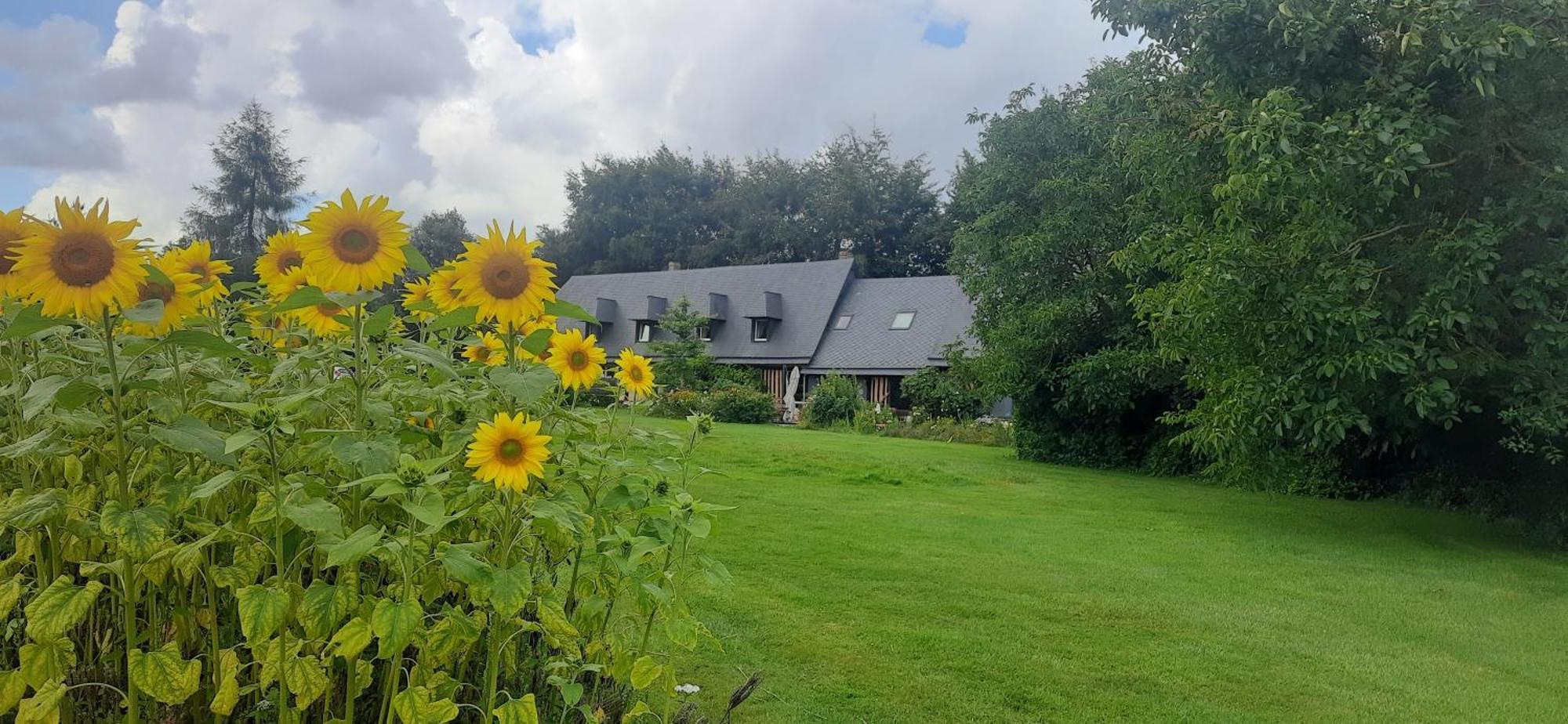 Le Lit De La Saane Bed & Breakfast Auzouville-sur-Saane ภายนอก รูปภาพ